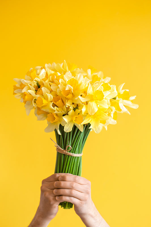Fresh Daffodil Bunch